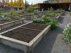 Lire la suite à propos de l’article Réussir un aménagement de jardins partagés